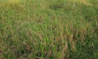 Imagem 3: Lotes Terreno / lote com venda por R$30.000