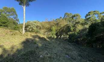 Imagem 4: Quot;OPORTUNIDADE" 36.000 m2 R$ 190 mil