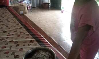 Imagem 4: Pousada Usina Mauá em Ortigueira