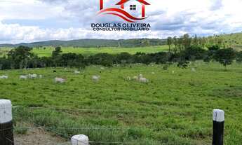 Imagem 5: Fazenda De 246 Alqueires No Estado de Goiás