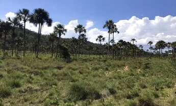 Imagem 2: Vendo Fazenda Pacary