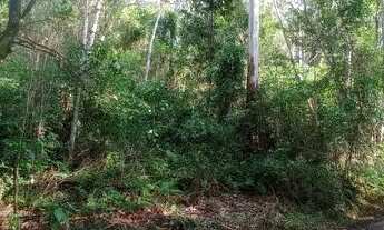 Imagem 7: Chácara 13 hectares valor 173,000,00