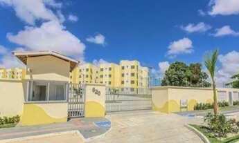 Imagem 6: Mais Viver terra Bela