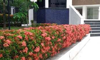 Imagem: Apartamento 3/4 no Caminho das Árvores