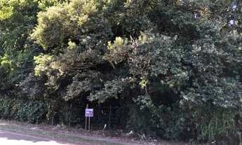 Imagem 3: Terreno em Vila Nova