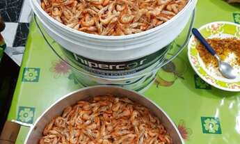 Imagem 7: Sítio no Janauary com Plantações, árvores frutíferas e lago privativo