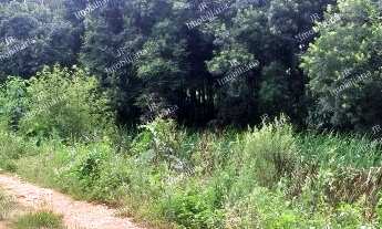 Imagem 5: Excelente Chácara