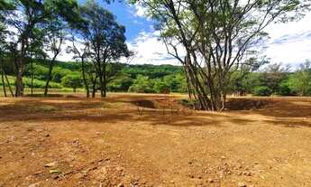 Imagem 5: Sítio na Linha Furna em Gramado!