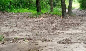 Imagem 2: Chácara de 11.13 Alqueires