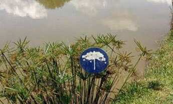 Imagem 5: Chácara com 2 dormitórios para alugar, 13356 m² por R$ 784,00/mês - Mariental - Lapa/PR