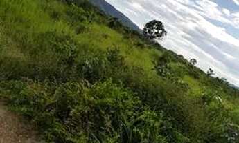 Imagem 5: Fazenda em Rosário Oeste