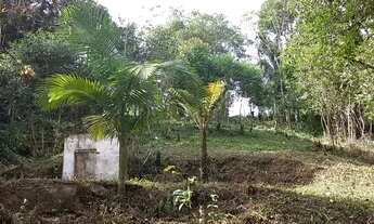 Imagem 5: Terreno km4 antonina pr