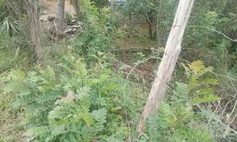 Imagem 7: Chacrinha em Mandirituba