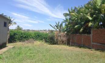 Imagem 3: LOTE grandão Arniqueira