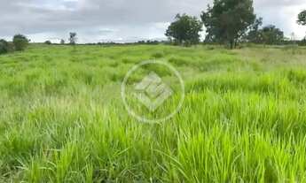 Imagem 3: Fazenda a 5 km de Ivolândia-GO 23 Alqueires prontos para produçã codigo: 133774