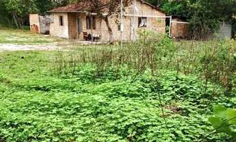 Imagem: Fazenda jaguar