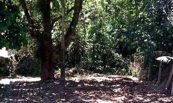 Imagem 6: Vendo casa em São João Batista