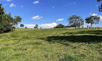 Imagem 3: Chácara 36 litros em Inhumas