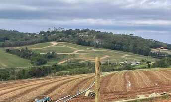 Imagem 3: LUCRO AO FAZER ESSE INVESTIMENTO