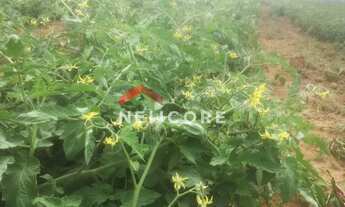 Imagem 3: Fazenda em Quijingue - Centro - Quijingue/BA