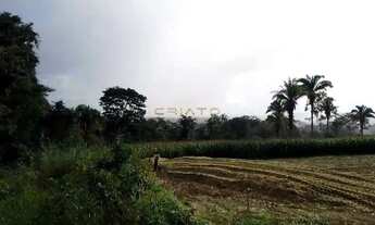 Imagem 5: 2 hectares (20.000m²) Terreno em Corumbá de Goiás