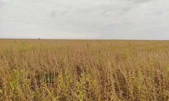 Imagem 5: Fazendas em todo Brasil ?