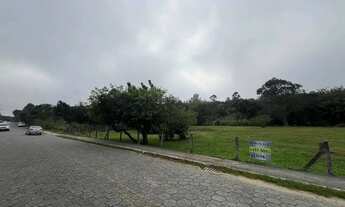 Imagem 6: Terreno plano 10.000m²