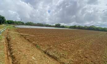 Imagem 2: Vendo Excelente Chácara 5,2 hectares, Radiobras, Brazlândia/DF