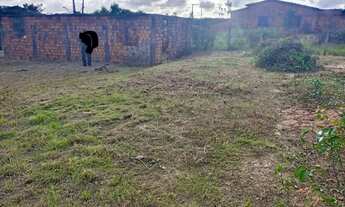 Imagem 3: Terreno à venda - ótima oportunidade no bairro Tibiri