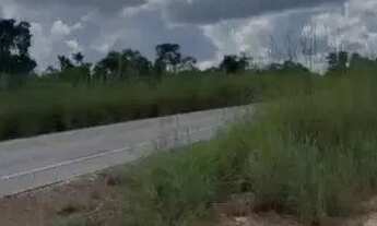 Imagem 2: SÍTIO SETE OUROS - PRÓXIMO A MATRINCHÃ/GO (12 alqueires = 580.800 m²) Fazenda à Venda, 580