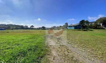 Imagem 2: Terreno para alugar no Santa Cândida