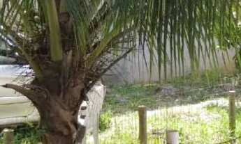 Imagem: Casa pronta para morar