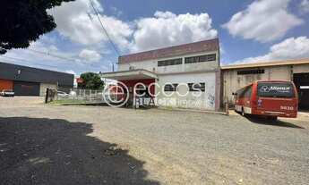 Imagem 5: Galpão para aluguel, Minas Gerais - Uberlândia/MG