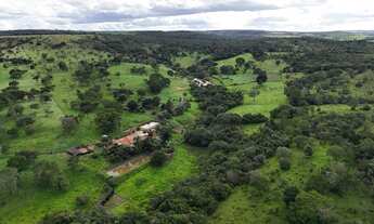 Imagem 7: Fazenda 25 alqueires px Anápolis