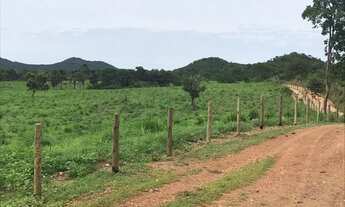 Imagem 4: Fazenda 43 alqueires