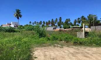 Imagem 4: No Paraíso de Tatuamunha tem umTerreno esperando por você!