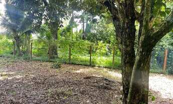 Imagem 7: VENDO SÍTIO COM TERRENO PLANO 4.000 mts ESTRADA DO PONTAL