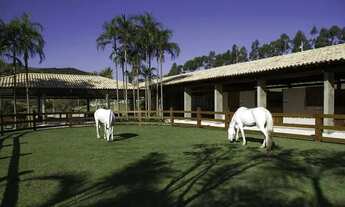 Imagem: Lotes Condomínio Maravilhoso c Haras Financio