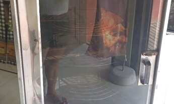 Imagem 3: Maquinas de Frango Assado