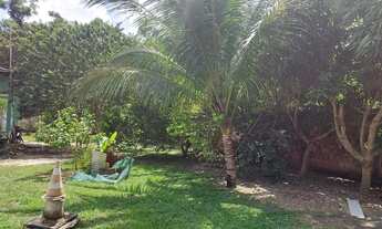 Imagem 3: Chácara br174 Terreno / lote com venda por R$600