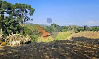 Imagem: Chácara 20.000 m em Mandirituba Casa, pomar
