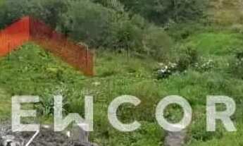 Imagem 4: Lote em Centro - Centro - São Francisco de Paula/RS