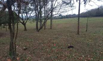 Imagem: Sítio em Limeira