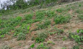 Imagem 3: Sítio a venda 5 hectare no monjolo