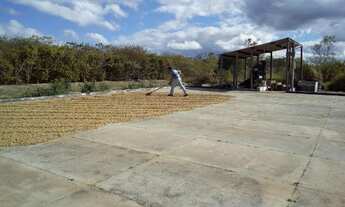 Imagem 7: Fazenda Campo Alegre com 129 ha, em Piatã-Bahia, Chapada Diamantina