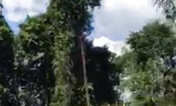 Imagem 6: Tranferencia lote 1650m Nas Chacaras RioNegro já pode construir