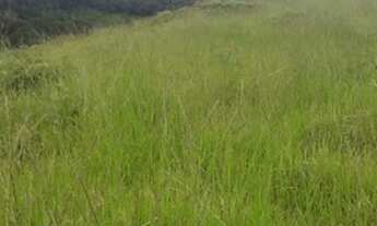 Imagem: Aceita permuta!