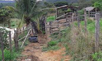 Imagem 5: Fazenda para Venda em Diamantina, Senador Mourão, 3 dormitórios, 1 banheiro