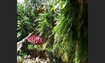 Imagem 5: Casa de condomínio com 3 quartos, km 26 da Raposo Tavares