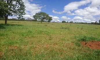 Imagem 6: Fazendinha de 17 hectares plana a 6.5 km da MG 10!